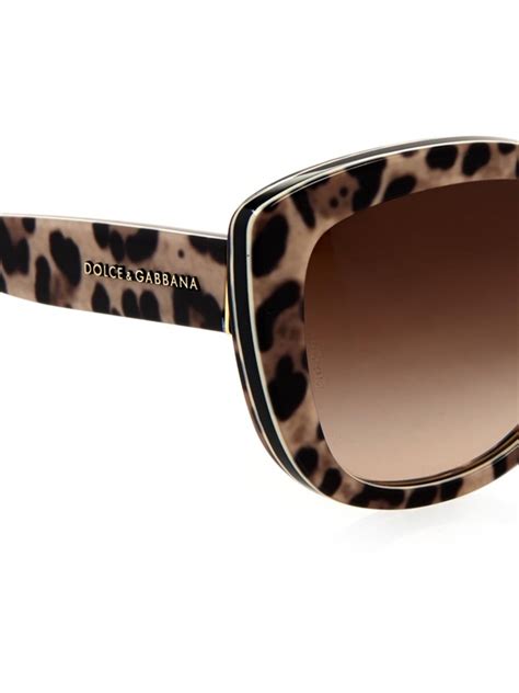 dolce gabbana sonnenbrille leopard